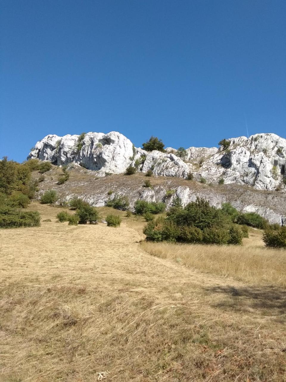 Penzion U Jezu - Ubytovani Пасохлавки Экстерьер фото